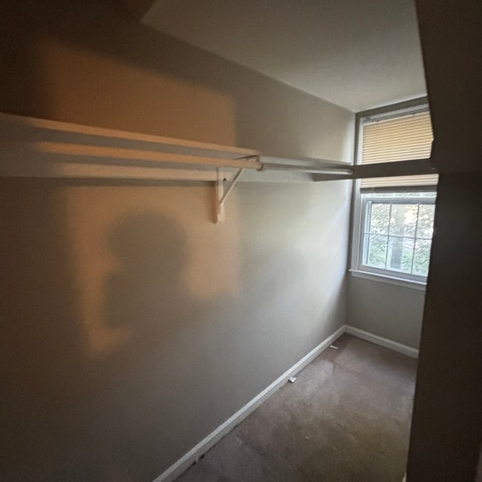 Partial Estate Cleanout