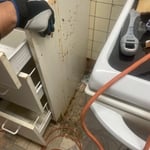 home renovation