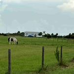 Pasture Cut