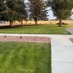 Nice lawn