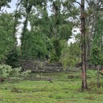 Land clearing