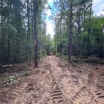 Land Clearing