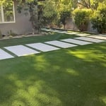 Backyard Revamp