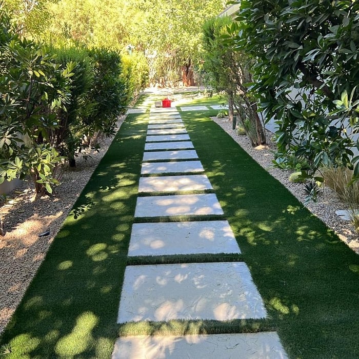 Backyard Revamp
