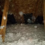 Insulation job