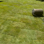 Sod Installation