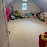 Bonus room clean out