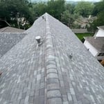 New shingle ridge
