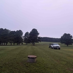 Grass