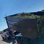 Cleaning yard removal
