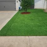 Turf and putting green