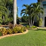 Turf and putting green