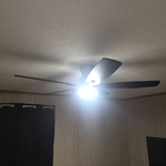 Updated Ceiling Fans