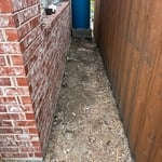 Sasche debris removal
