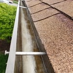 Gutter Cleaning