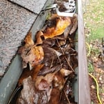 Gutter Cleaning