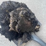 Hornet Nest removal