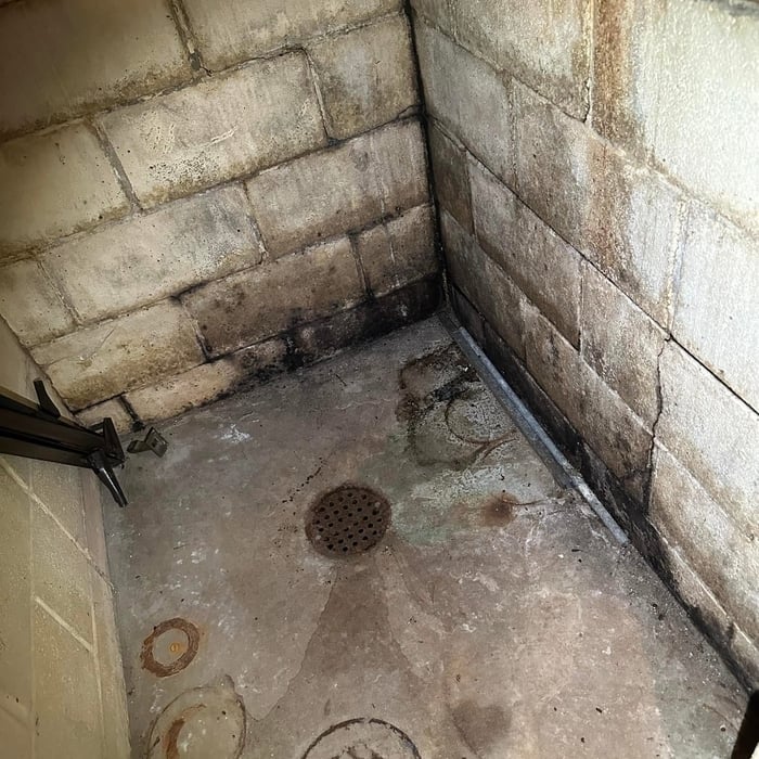 Basement remediation