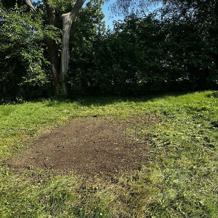 Yard Cleanup