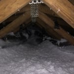 Attic Blow In