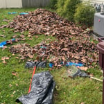 Yard cleanout