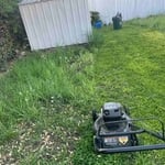 Yard cleanout
