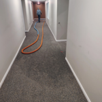 Hallway Carpeting
