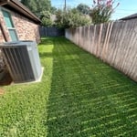 Mowing/Edge clean up