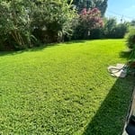 Mowing/Edge clean up