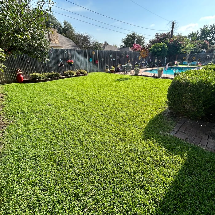 Mowing/Edge clean up