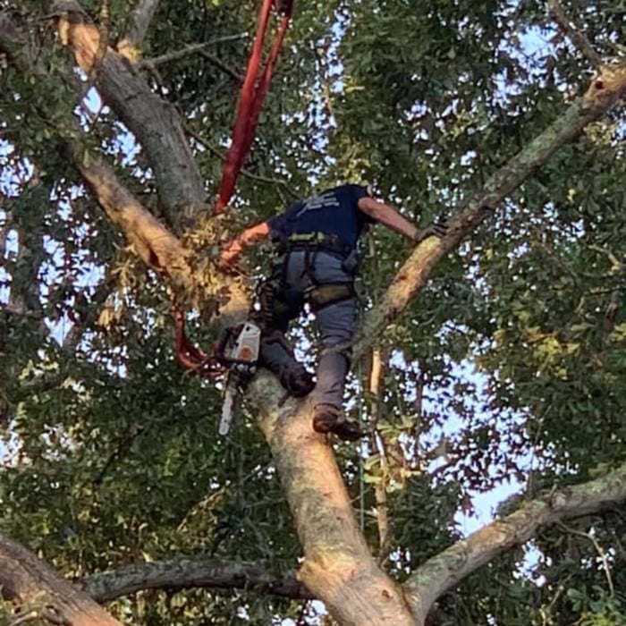 Crane Job