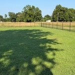 Our fences