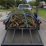 Yard Debris Removal