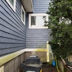 Full house algae removal