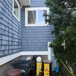 Full house algae removal