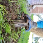 Termite Treatment