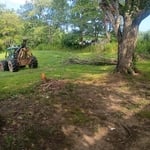Annville ky Tree removal