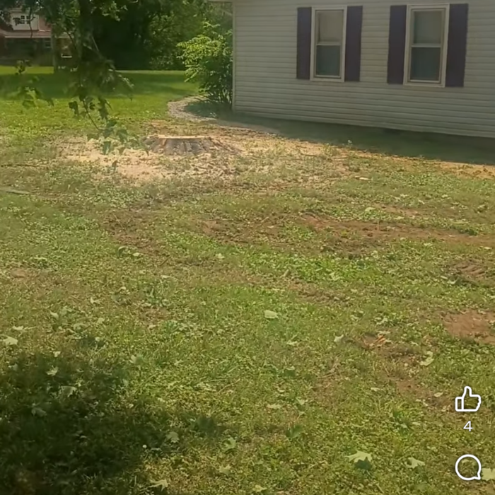Annville ky Tree removal