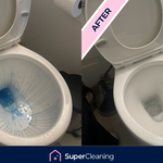 Clean Toilet Bowl
