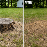 Before and after