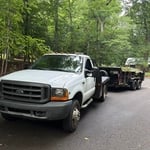 Brush and Stump removal