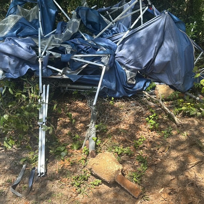 Junk Removal