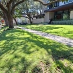 Lawn mowing