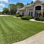 Lawn care