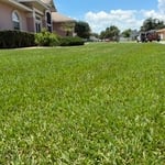 Lawn care