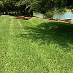 Lawn care