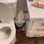 Full bathroom clean