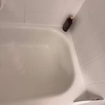 Full bathroom clean