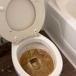 Full bathroom clean