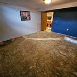 LVP Floor and Cabinet